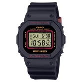 DW5600AI-1